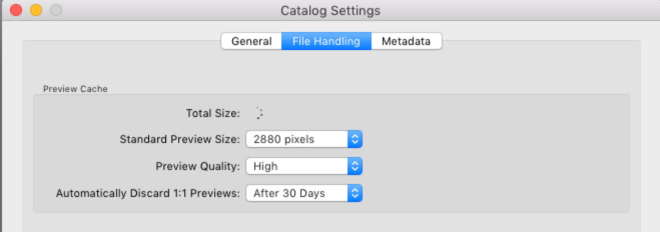 catalog settings in lightroom speed up workflow photography resolution