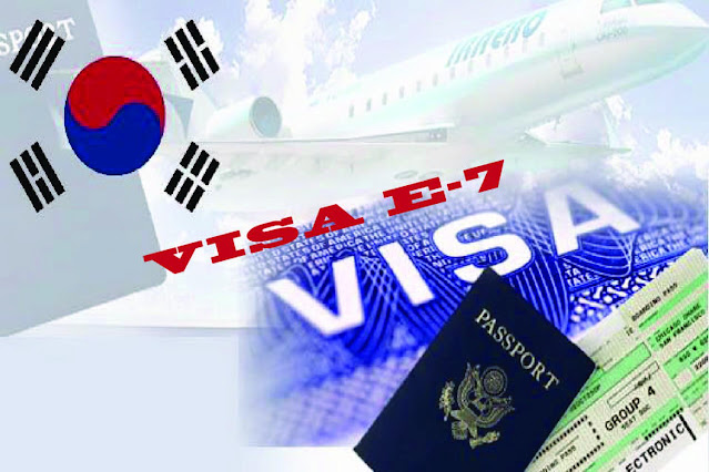 visa e7 hàn quốc