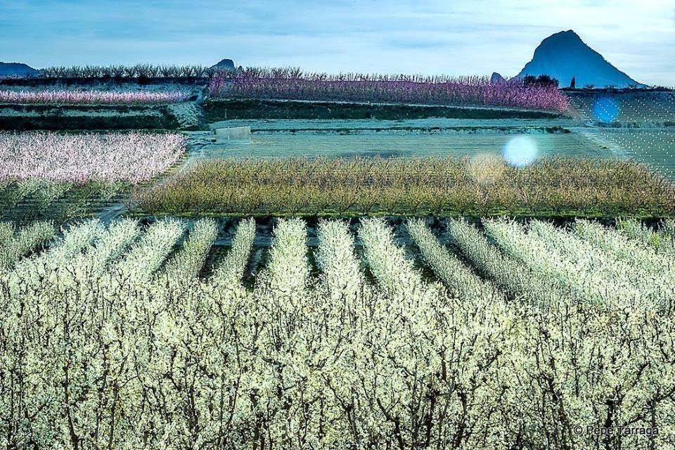 La imagen puede contener: cielo, hierba, nubes, exterior y naturaleza