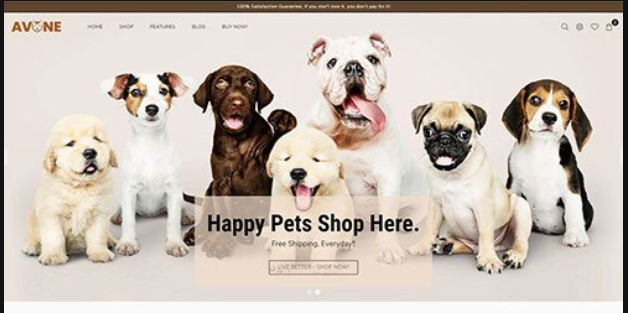 Multipurpose themes