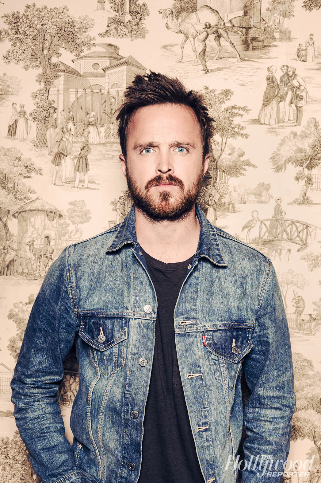 Aaron Paul.jpg