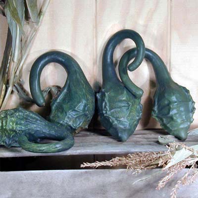 Photo of Gourd Cavemans Club, Gourds