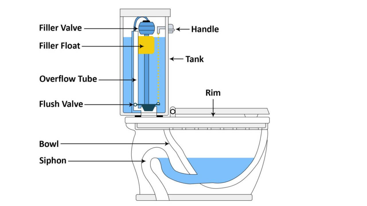 How Does A Toilet Flush Work?