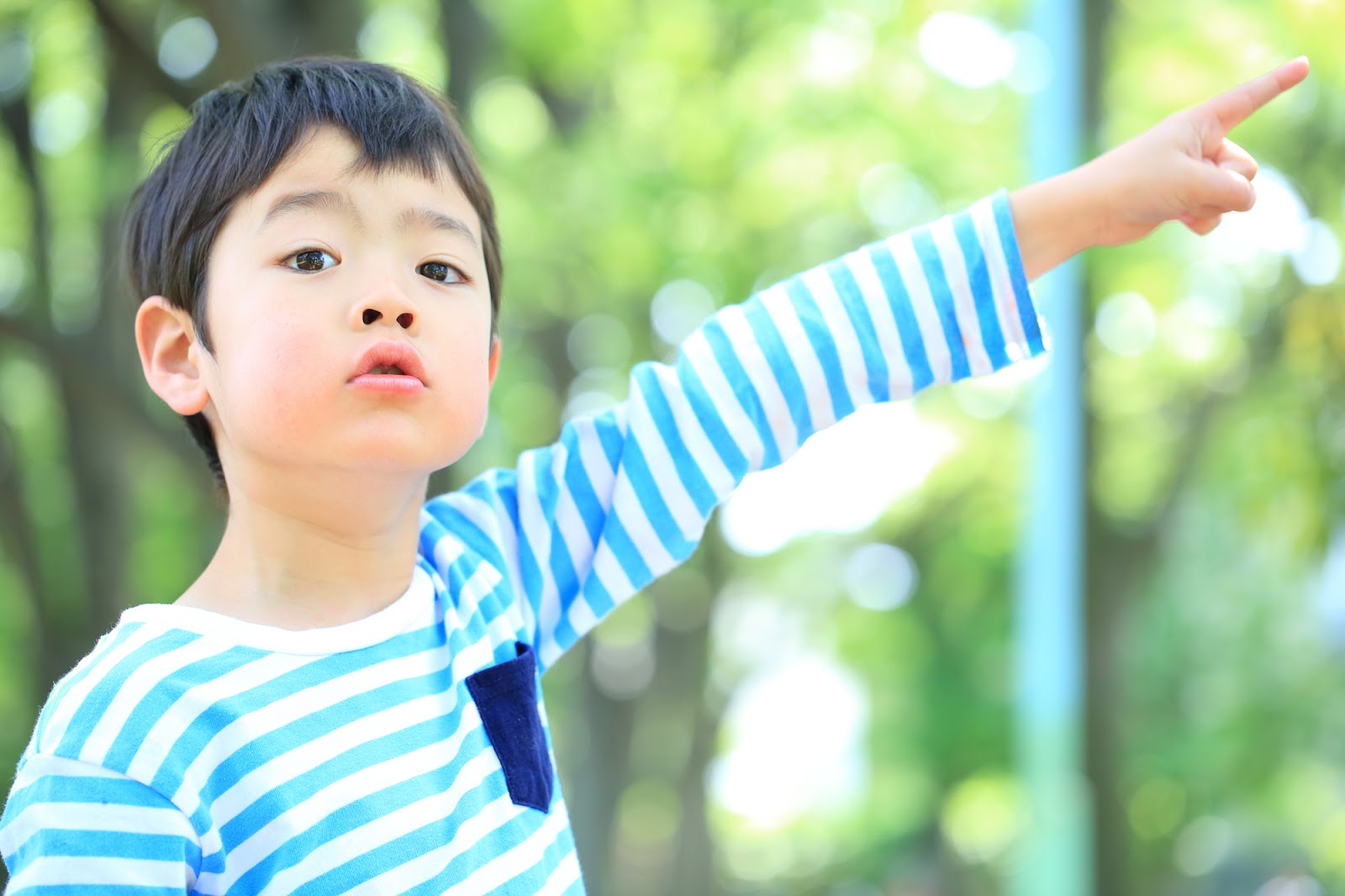 ちょっとユニーク！？好奇心を育てる「お散歩クエスト」