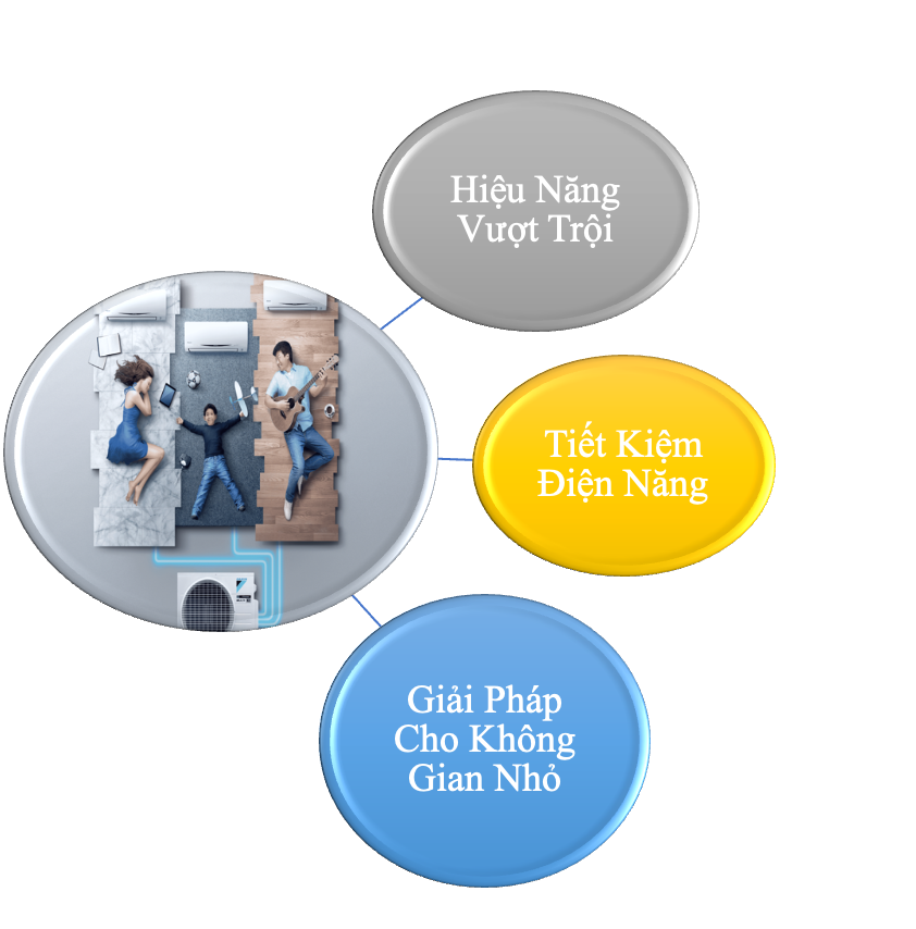 CÔNG TY TNHH LÂM QUANG ĐẠI