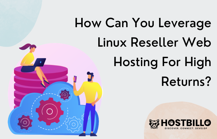 How Can You Leverage Linux Reseller Web Hosting For High Returns?
