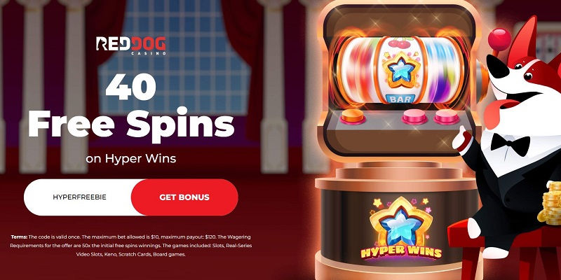 Red Dog Casino Deposit Bonus Codes ($40 Casino Chip, 50 Free Spins with No Deposit, and More) – Cryptopolitan