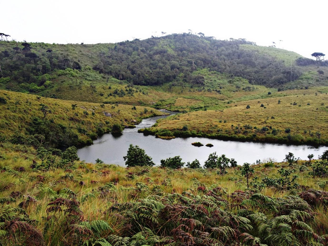 Résultat de recherche d'images pour "Horton plains"