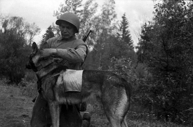 Боец Калининского фронта со служебной собакой. 1942 год