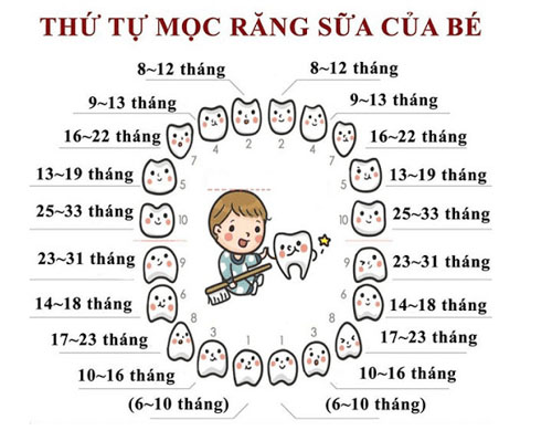 Thứ tự mọc răng sữa của bé