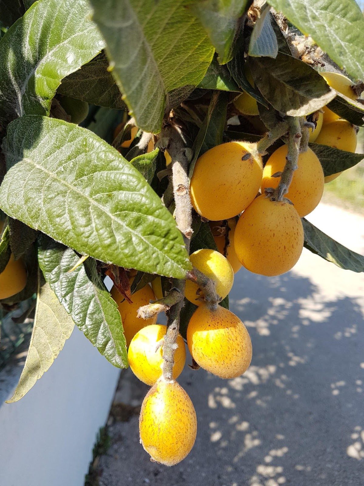  Maantietoa, Vale Silveira,  Läsnäolo: Perheen kesken. Osa 2. Rakenteellinen