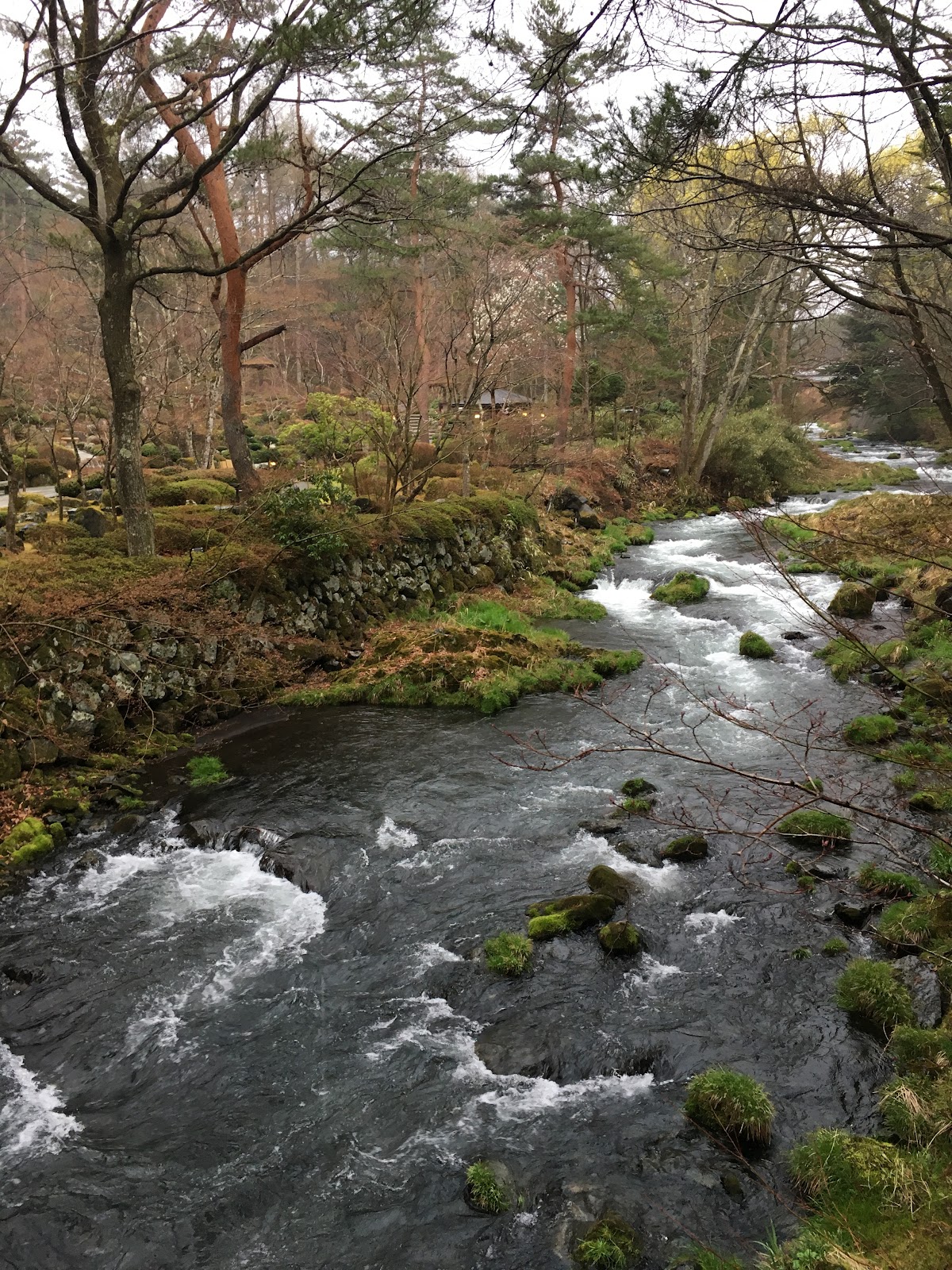 Travelgoal 偽 豪遊 日本 富士篇 河口湖附近吉田市溫泉酒店推介