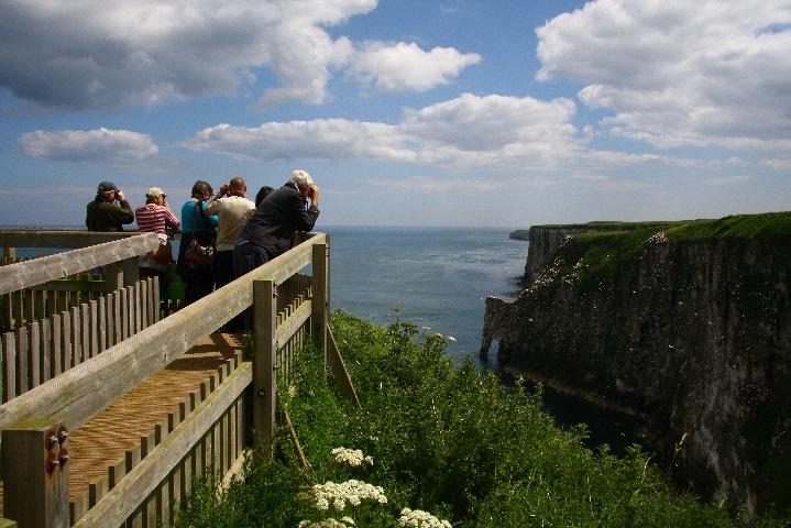 W:\NCTA\Discover England Fund Round 2\PR\Images\Nature\RSPB Bempton Cliffs - New Roll up viewpoint (002).jpg