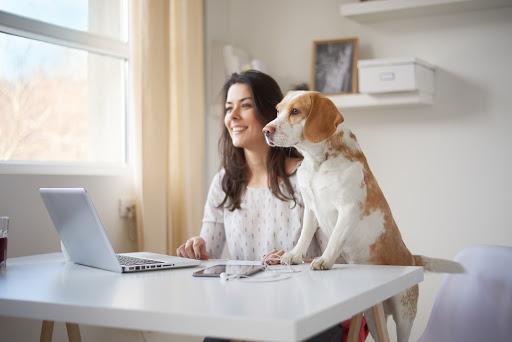 HOME OFFICE - JAK BEZPIECZNIE UREGULOWAĆ PRACĘ Z DOMU ...