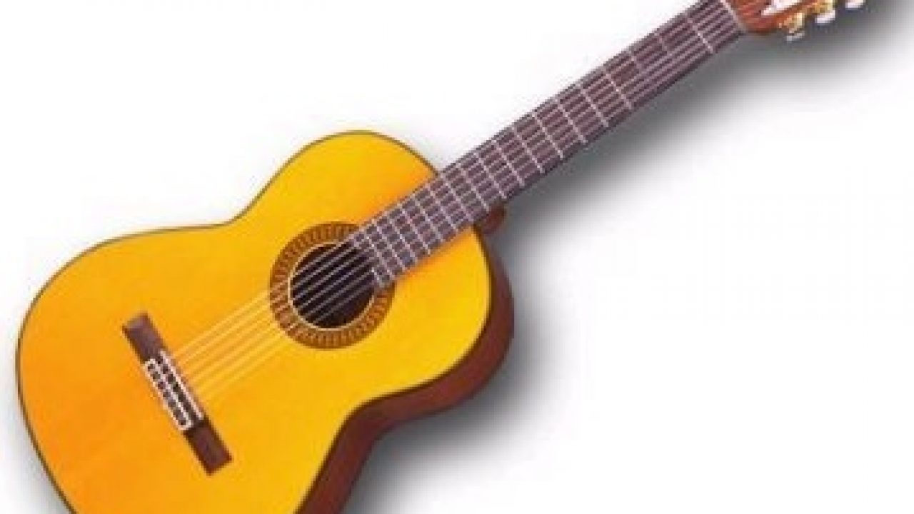 Jenis Gitar