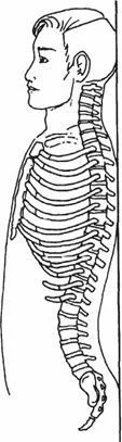 image204