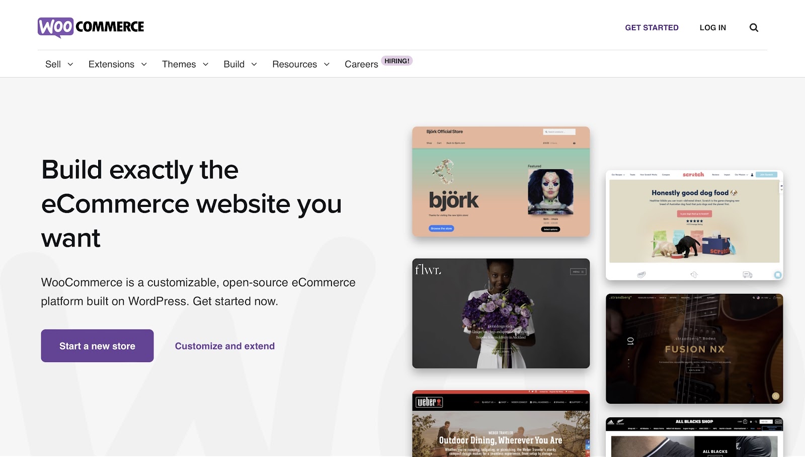 WooCommerce, a WordPress plugin, is also a popular e-commerce platform.