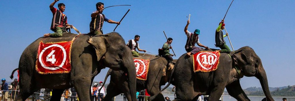 Elephant Racing Festival – Central Highlands