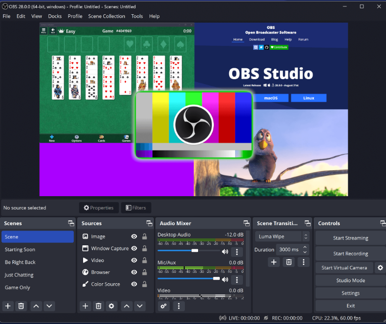 9 Common OBS Errors and Fixes, and Why Reddit OBS Users Love Blerp