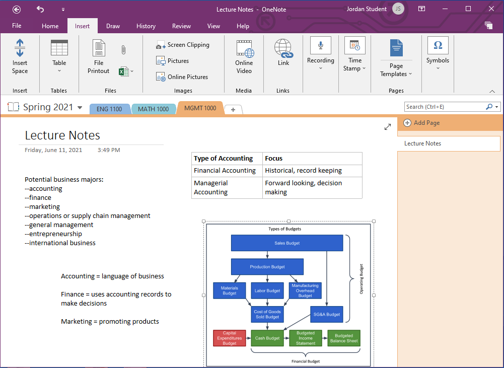 Screenshot showing OneNote notebook with text, table, and images in a note