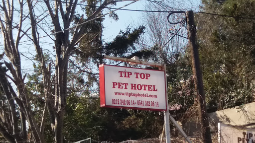 Tip Top Pet Hotel