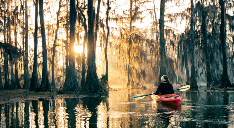 The sun is pouring through the trees as a woman kayaks across Lake Martin, a bald cypress swamp in Breaux Bridge, Louisiana.