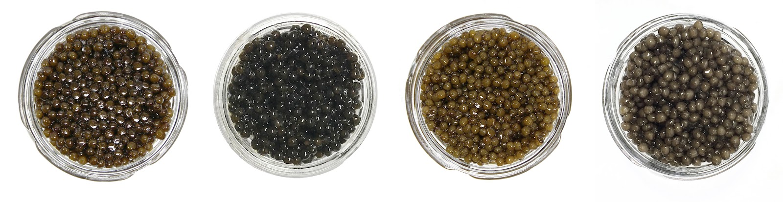 What Color Is Reebok Caviar? - Shoe Effect