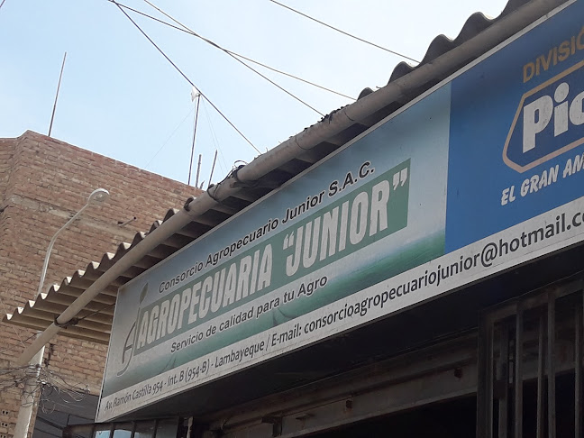 Agropecuaria "Junior"