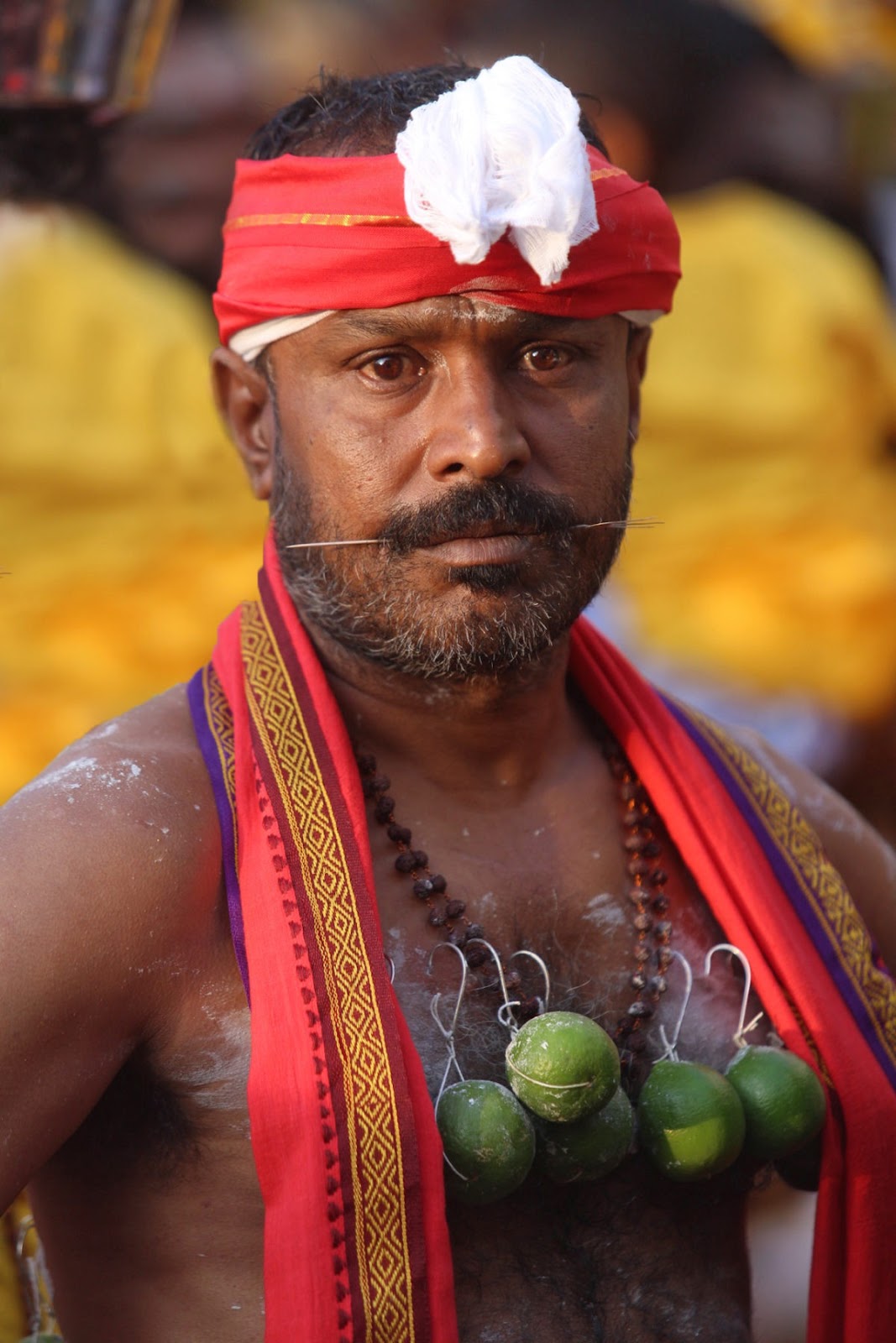 A devotee pierced with many hooks full of offerings for Lord Murugan