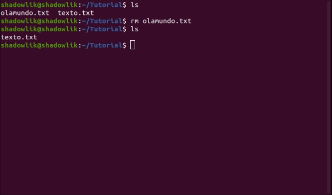 deletando arquivos pelo terminal linux