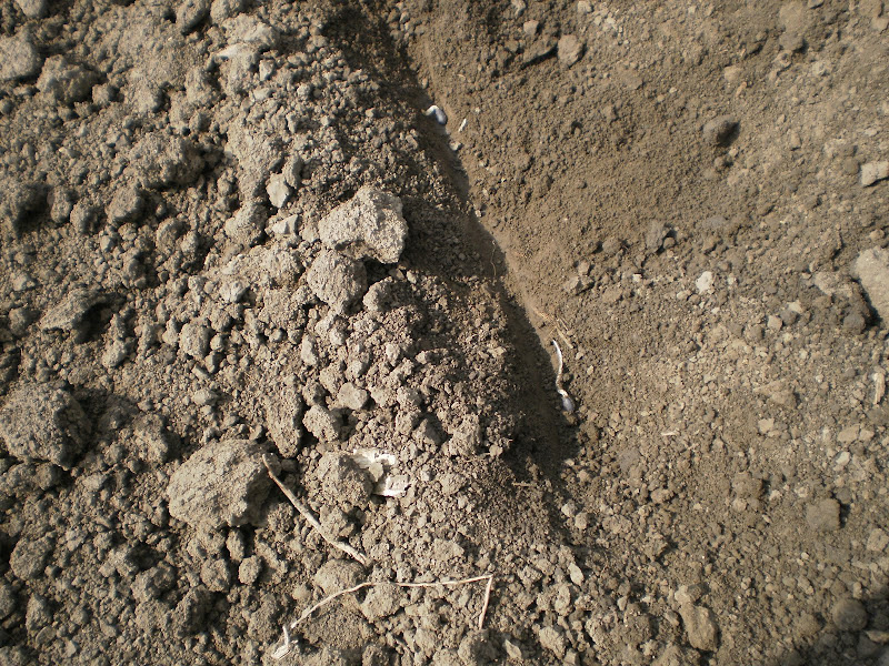 P4080025.JPG