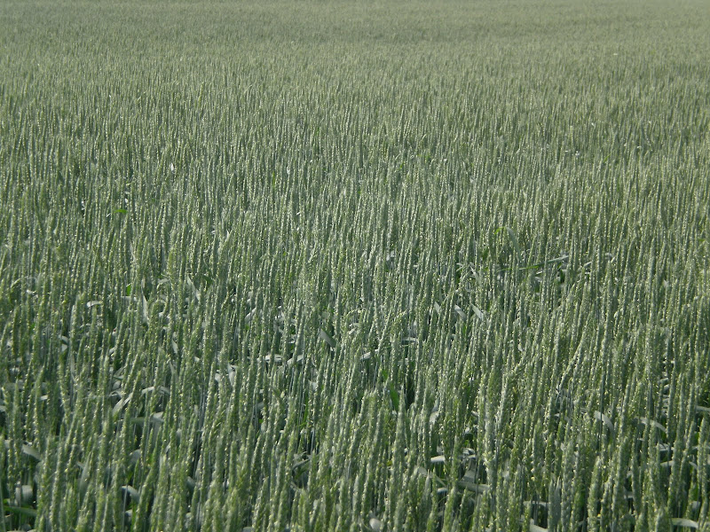 P5080024.JPG