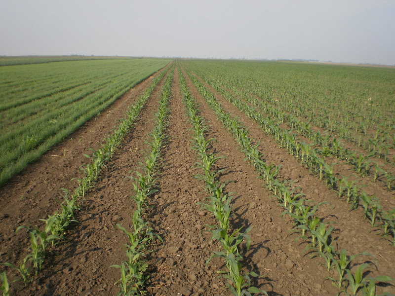P5150002.JPG