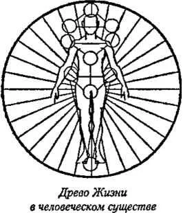 D:\0 wd yedek\acr yedek\1 film indirme\encyclopedia_symbols_roshal\encylopedia_files\000051.jpg