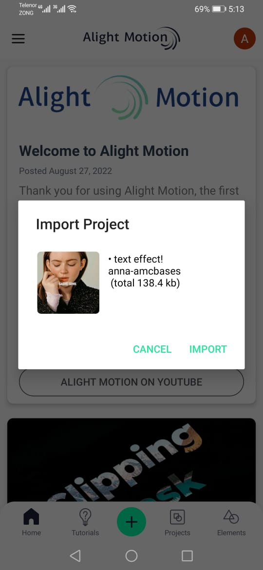 Alight Motion Import Option