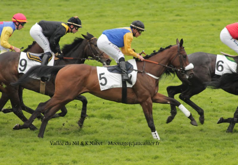 Photos Auteuil 16-05-2015 Week-end printanier de l'obstacle _1Y9kYAWg2lOij_xyM6CKa4W4mlsljsJiKSs1_1H0eWu=w800-h554-no