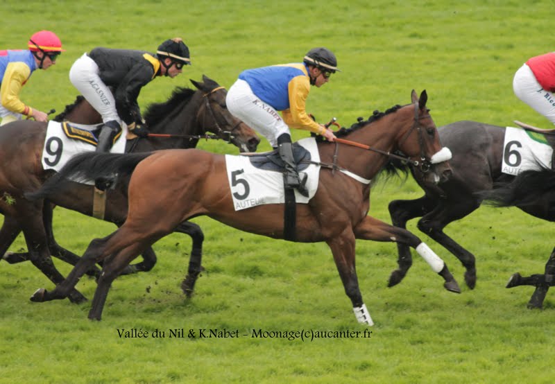 Photos Auteuil 16-05-2015 Week-end printanier de l'obstacle  _1Y9kYAWg2lOij_xyM6CKa4W4mlsljsJiKSs1_1H0eWu=w800-h554-no