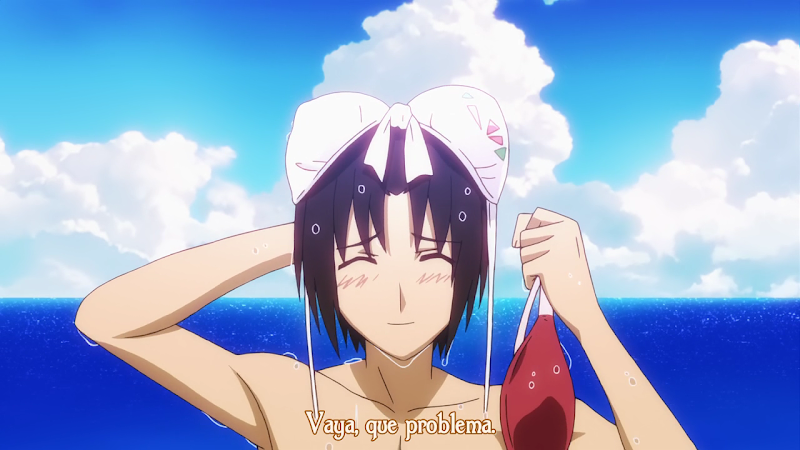 [Imagen: %5BSnF%5D%20Seitokai%20Yakuindomo%2013%2...-05%5D.PNG]