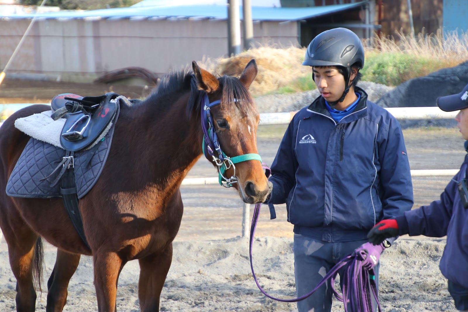 馬の馴致調教に携わり 競走馬デビューを共に目指した生徒の声 他に買い手がない馬を購入 学生が育成し 競走馬デビューへ 野口 佳槻 株式会社 馬事学院 代表取締役 19 07 31 投稿 クラウドファンディング Readyfor レディーフォー