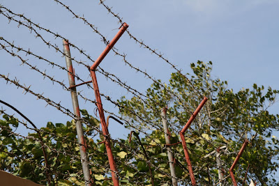 barb wire