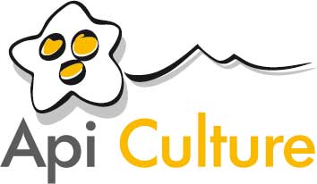 LOGO API-CULTURE