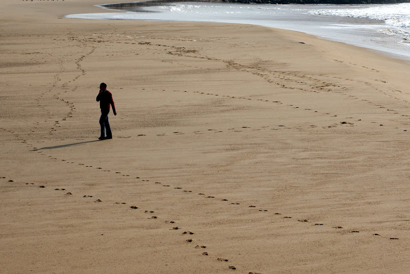 Caminante no hay camino