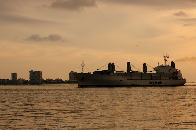 Navio No Rio Sado com Troia ao Fundo
