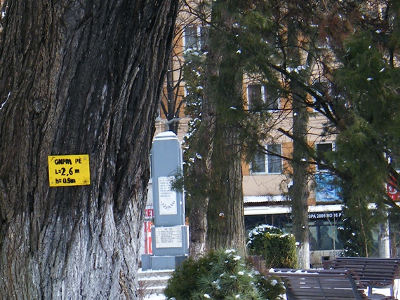 Placute E.ON Gaz prinse şuruburi de copacii din Parcul Central