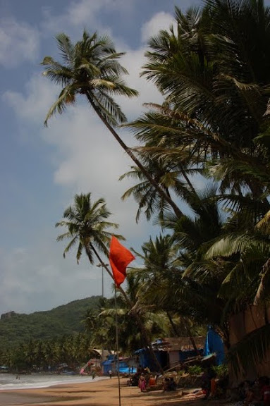 Goa y playas - India y Nepal 26 días de Kathmandú a Goa (1)
