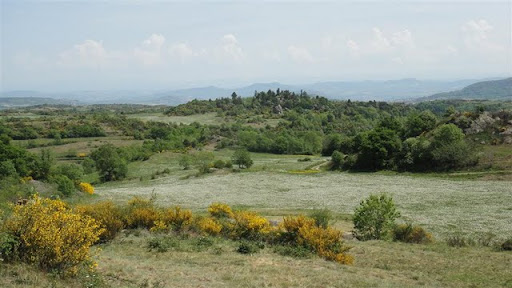 http://lh5.googleusercontent.com/_890NILIacVs/TclGa7_QsZI/AAAAAAAAIfs/R7XOtaRNtvU/34.JPG