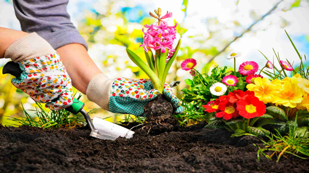 Understanding gardening and Benefits of Gardening