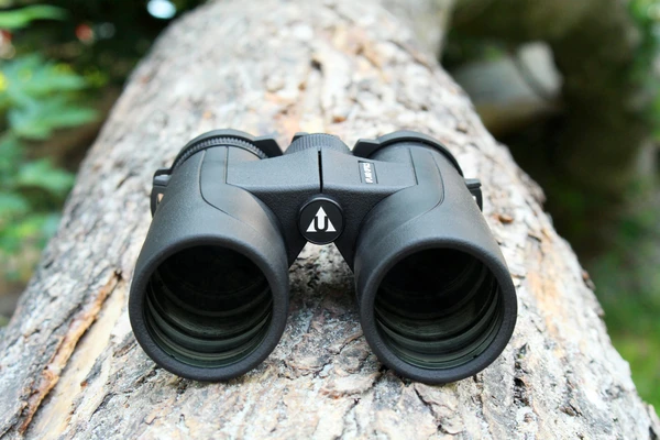 A pair of binoculars resting on a log