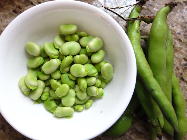 Fava Beans