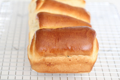 photo of a loaf of Ham and cheese bread